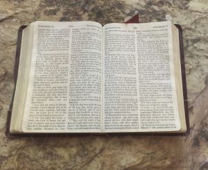 Bible Reading